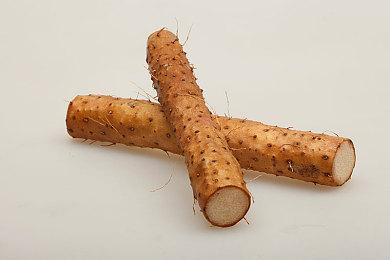 来自麻省理工的智商挑战——《黏黏果冻》现已发售